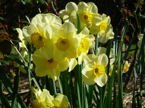 Wagners Cottages - Stayed 14