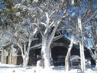 Book Dinner Plain Accommodation Vacations Stayed Stayed
