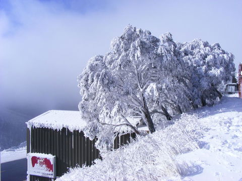Arlberg Hotham - Stayed 15