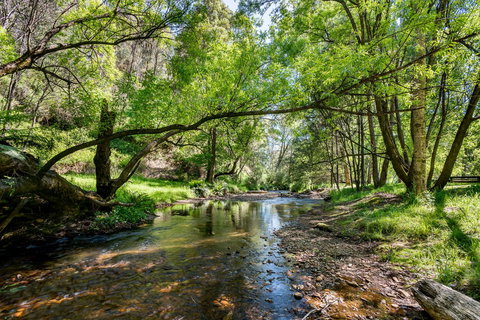 Avalon House - Stayed 7