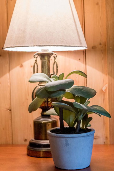 Avalon House - Stayed 41