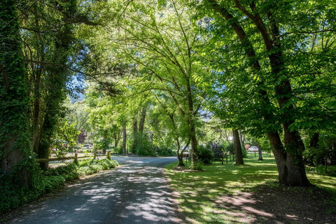 Avalon House - Stayed 23