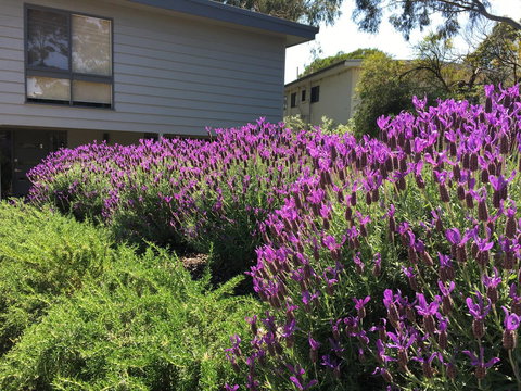 Kookas Retreat - Stayed 14