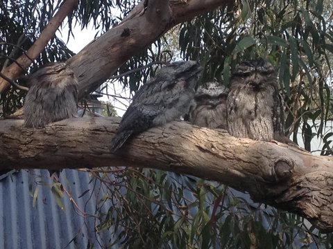 Kookas Retreat - Stayed 15