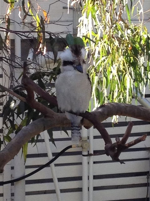 Kookas Retreat - Stayed 16