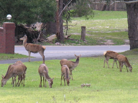 The Grampians Motel - Stayed 23