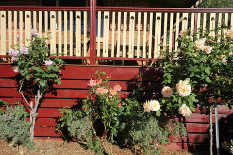 Oxford Rise Apartment - Stayed 21