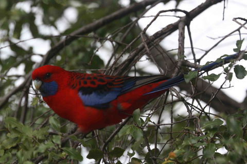 Oxford Rise Apartment - Stayed 22