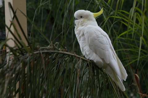 Oxford Rise Apartment - Stayed 23