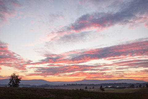 Yering Gorge Cottages - Stayed 2