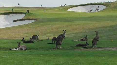 Yering Gorge Cottages - Stayed 10