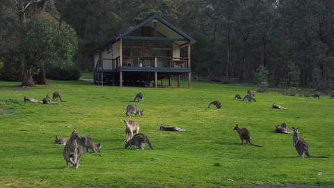 Yering Gorge Cottages - Stayed 6