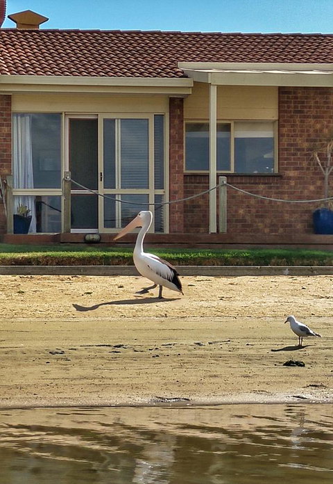 Waterfront Retreat - Stayed 25