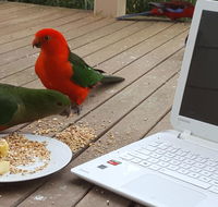 Wilsons Promontory Motel - Stayed