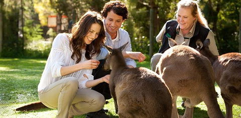 Balgownie Estate Yarra Valley - Stayed 10