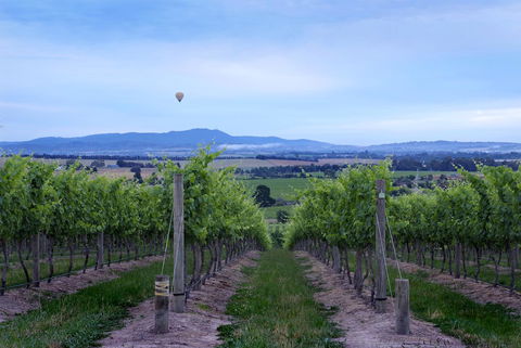 Balgownie Estate Yarra Valley - Stayed 37