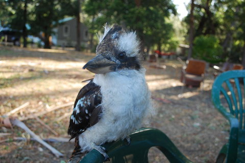 Gariwerd Motel - Stays Accommodation 11