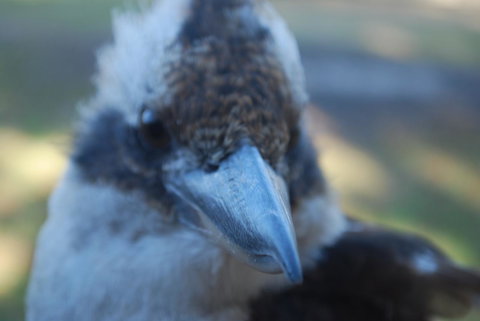 Gariwerd Motel - Stays Accommodation 30