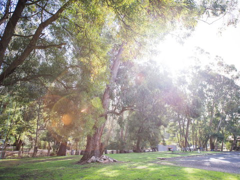 Gariwerd Motel - Stays Accommodation 7