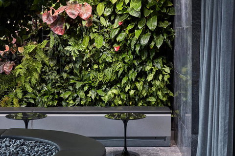 Shadow Play By Peppers - Stayed 11