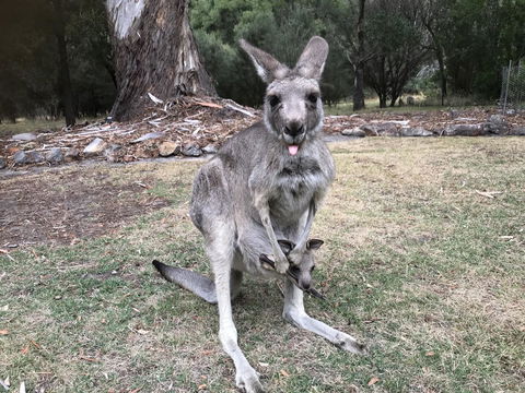 Day Dream Cottage - Stayed 11