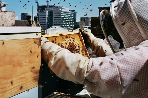 Alto Hotel On Bourke - Stayed 14