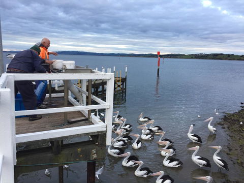 Pelicans Motel San Remo - Stayed 18