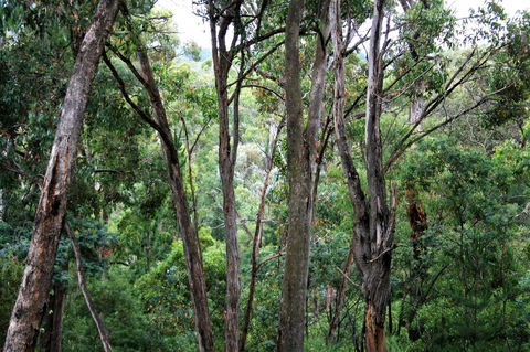 Tangenong Cottages - Stays Accommodation 9