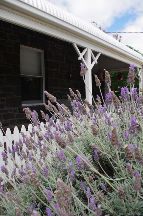 Little River Bed And Breakfast - Stays Accommodation 30