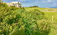 Arcadia Phillip Island - thumb 21