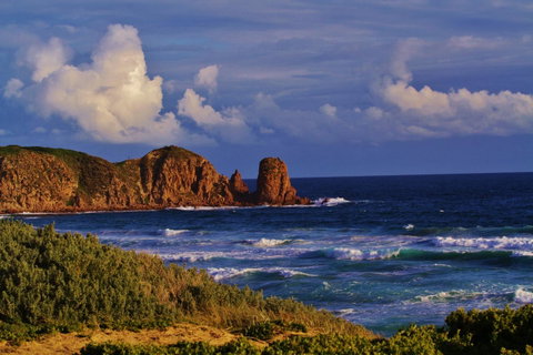 Arcadia Phillip Island - Stayed 27