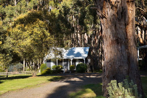 Bodhi Daylesford - Stays Accommodation 8