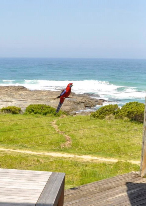 14 Steps - Stayed 15