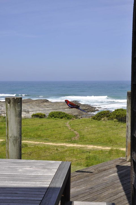 14 Steps - Stayed 14