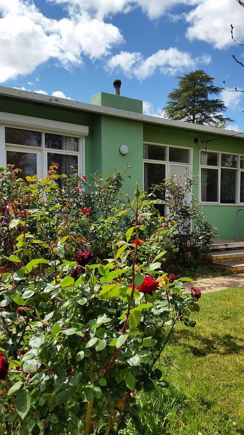 Green Grove - Stayed 2