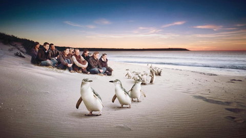 C-Scape Water Front Apartment - Stayed 16