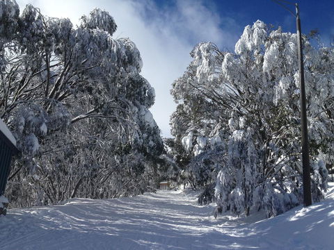 Maisonettes Falls Creek - Stayed 17