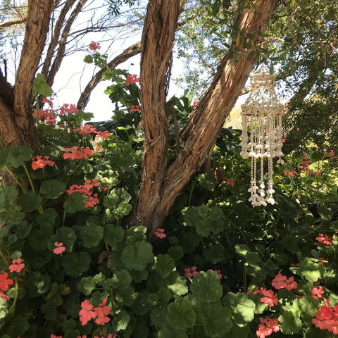 The Fingal Farm - Stayed 27