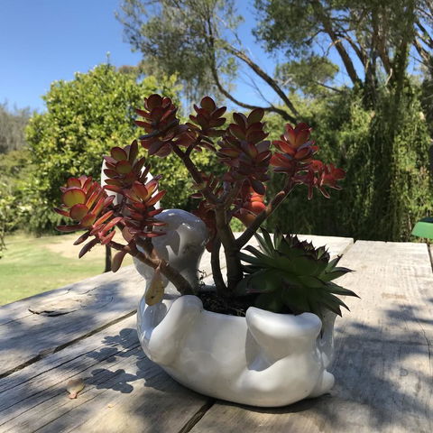 The Fingal Farm - Stayed 30