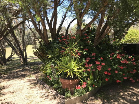 The Fingal Farm - Stayed 33