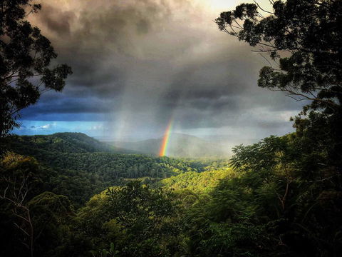 The Den Of The Treehouse, KINABALU Farm - Stays Accommodation 0