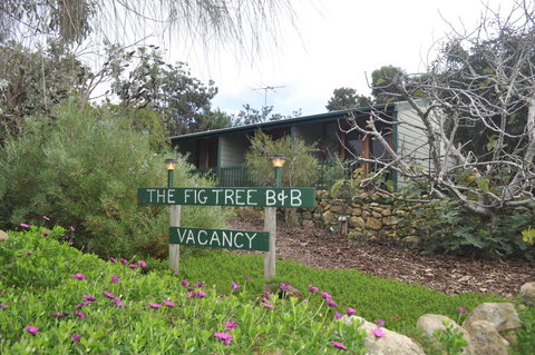 The Fig Tree B&B - Stays Accommodation 0