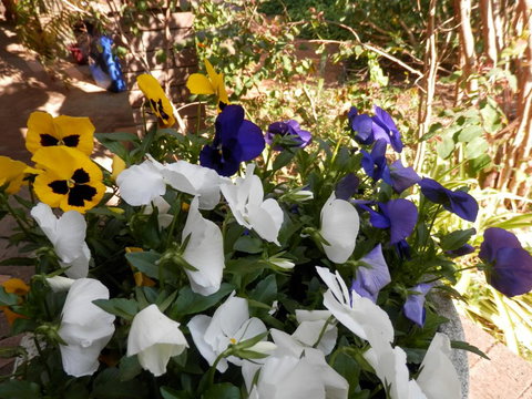 The Hideaway Luxury B&B Retreat - Stays Accommodation 1