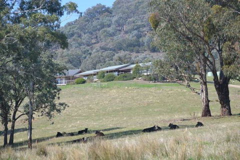 The Homestead At Holmeslgen At Eildon - Stayed 1