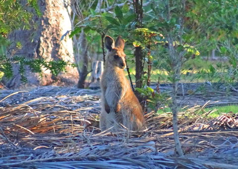 The Lovely Cottages Retreat - Guests Only - Stayed 1