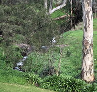 The Miners Cottage Barossa - Stays Accommodation