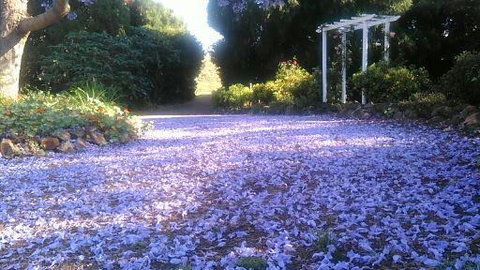 The Old Church Bed And Breakfast - Stays Accommodation 2