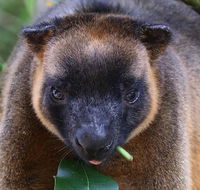 The Pond Cottage - Stayed