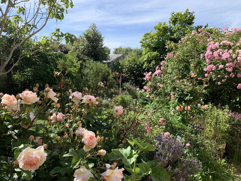 The Racecourse Inn - Stayed 2