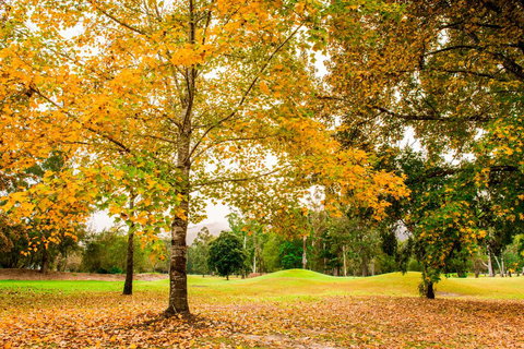 The Retreat At Wisemans - Stayed 1